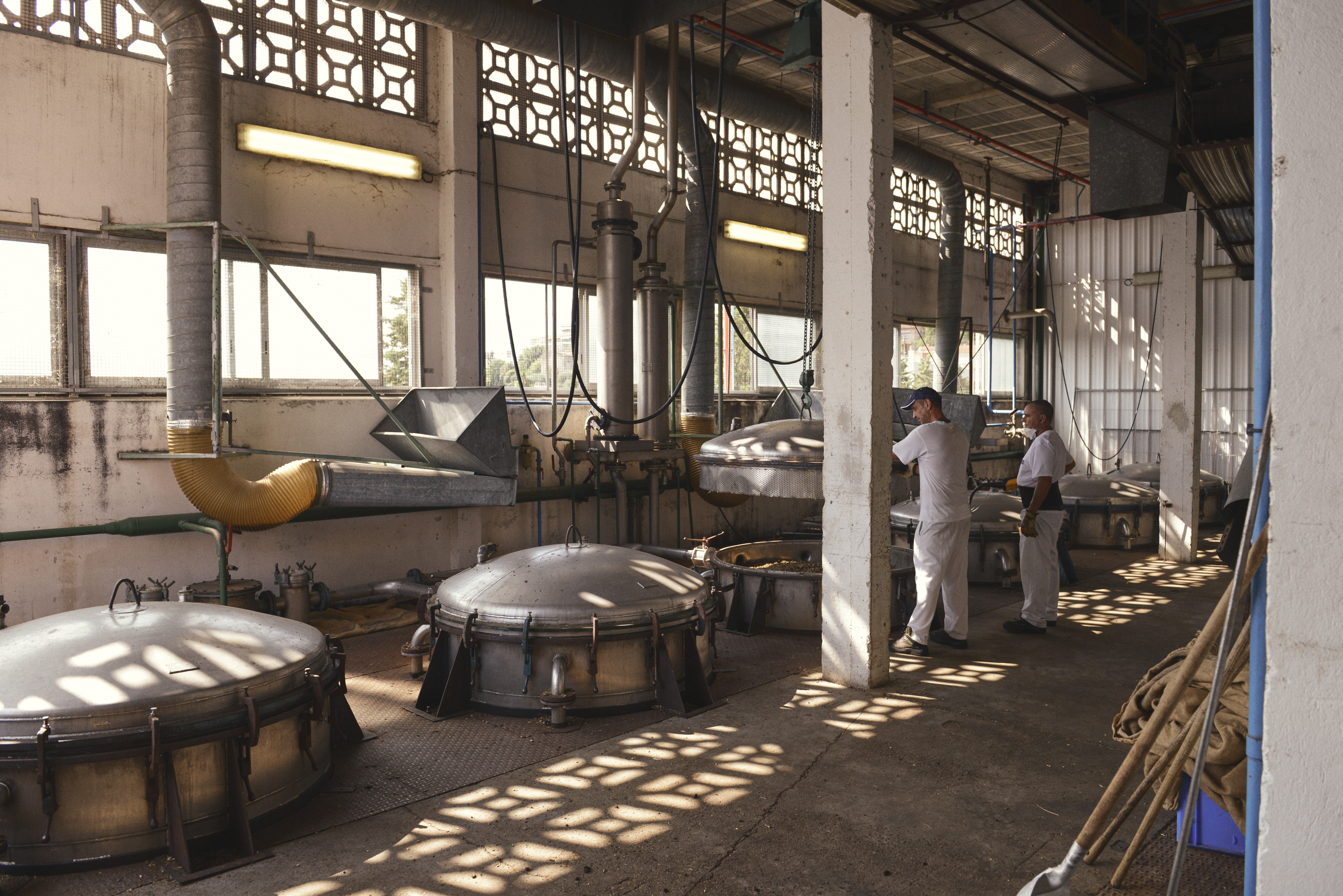 Enfleurage Cyril Gourdin Photo photography art fashion mode France Paris RLLNGR rllngr design 