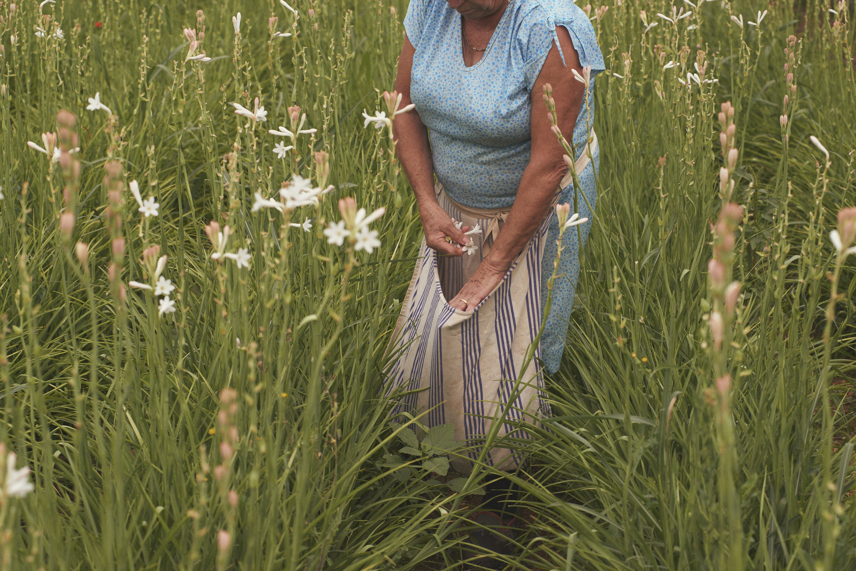 Enfleurage Cyril Gourdin Photo photography art fashion mode France Paris RLLNGR rllngr design 