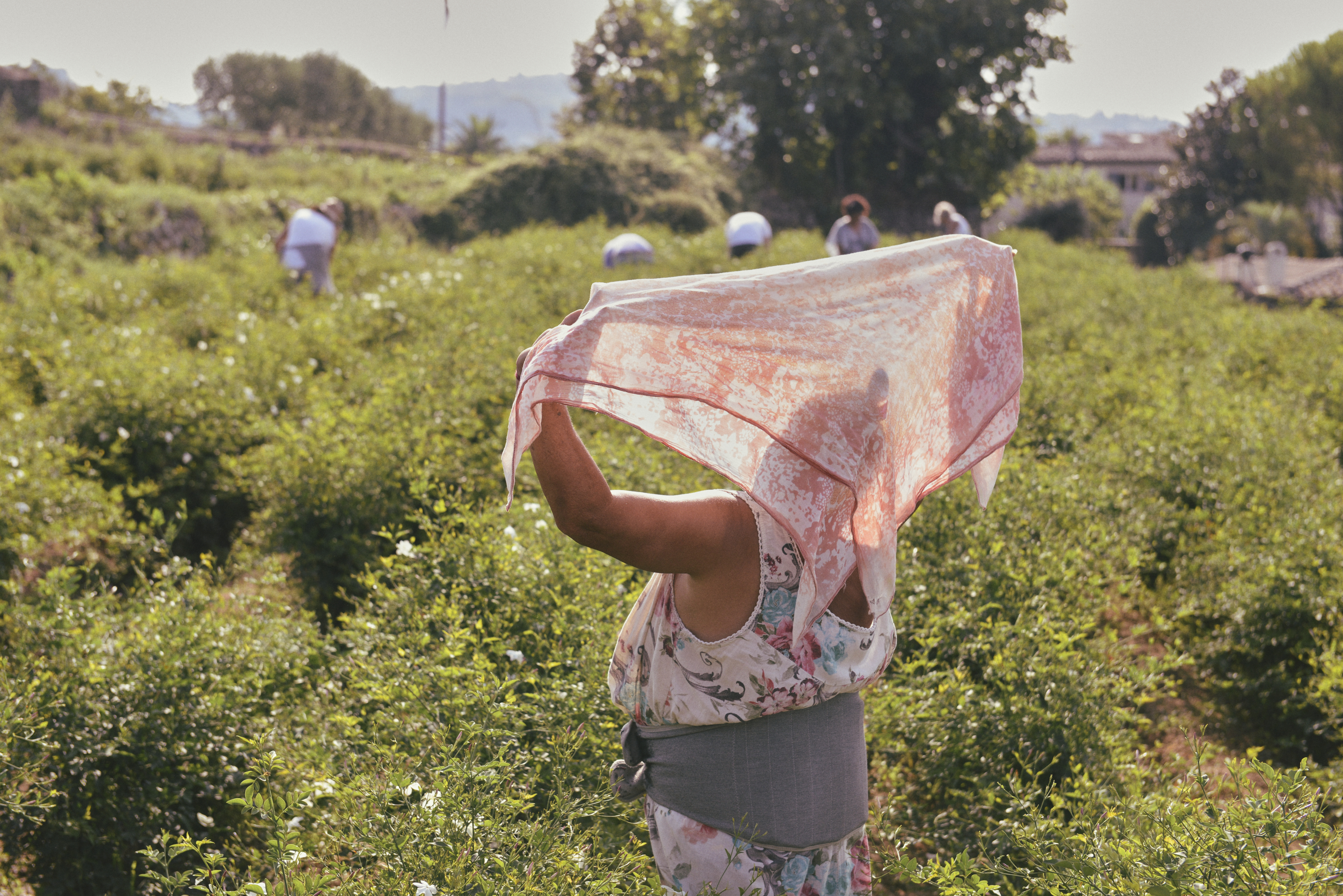 Enfleurage Cyril Gourdin Photo photography art fashion mode France Paris RLLNGR rllngr design 