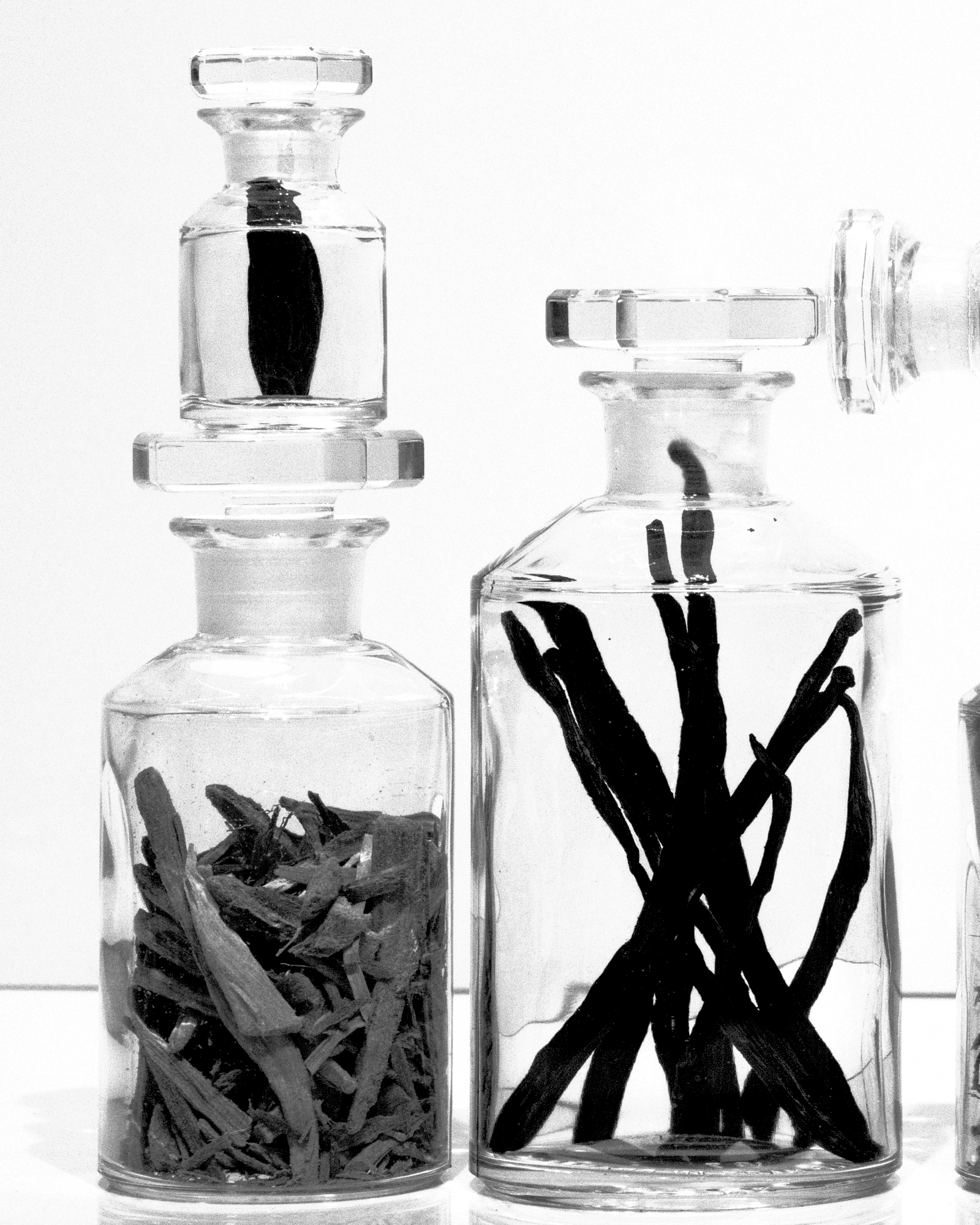 Marie-Jeanne Cyril Gourdin Photo photography art fashion mode France Paris RLLNGR rllngr design 